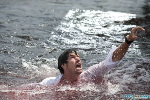 Фото 4 При появлении капли крови в воде пираньи приходят в бешенство и тогда - фото 4
