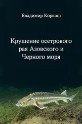 Владимир Коркош - Крушение осетрового рая Азовского и Черного моря