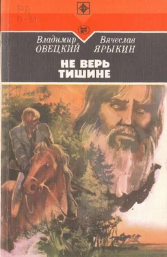 Владимир Овецкий Не верь тишине [Роман] обложка книги