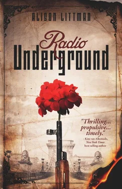 Alison Littman Radio Underground обложка книги