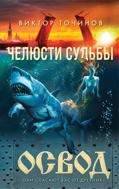 Виктор Точинов ОСВОД. Челюсти судьбы [litres] обложка книги