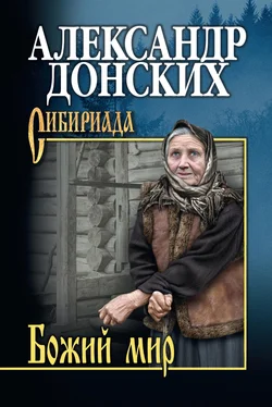 Александр Донских Божий мир (сборник) обложка книги