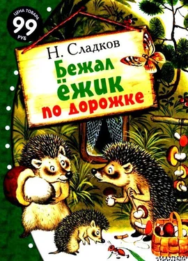 Николай Сладков Бежал ёжик по дорожке обложка книги