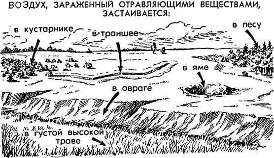 Рис 13 8 Поражающее действие отравляющих веществ Чтобы умело - фото 15