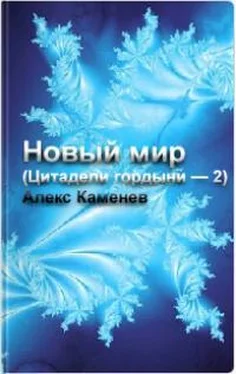 Алекс Каменев Новый мир [калибрятина] обложка книги