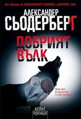 Александр Содерберг - Добрият вълк