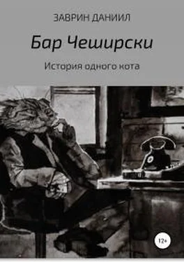 Даниил Заврин История одного кота обложка книги