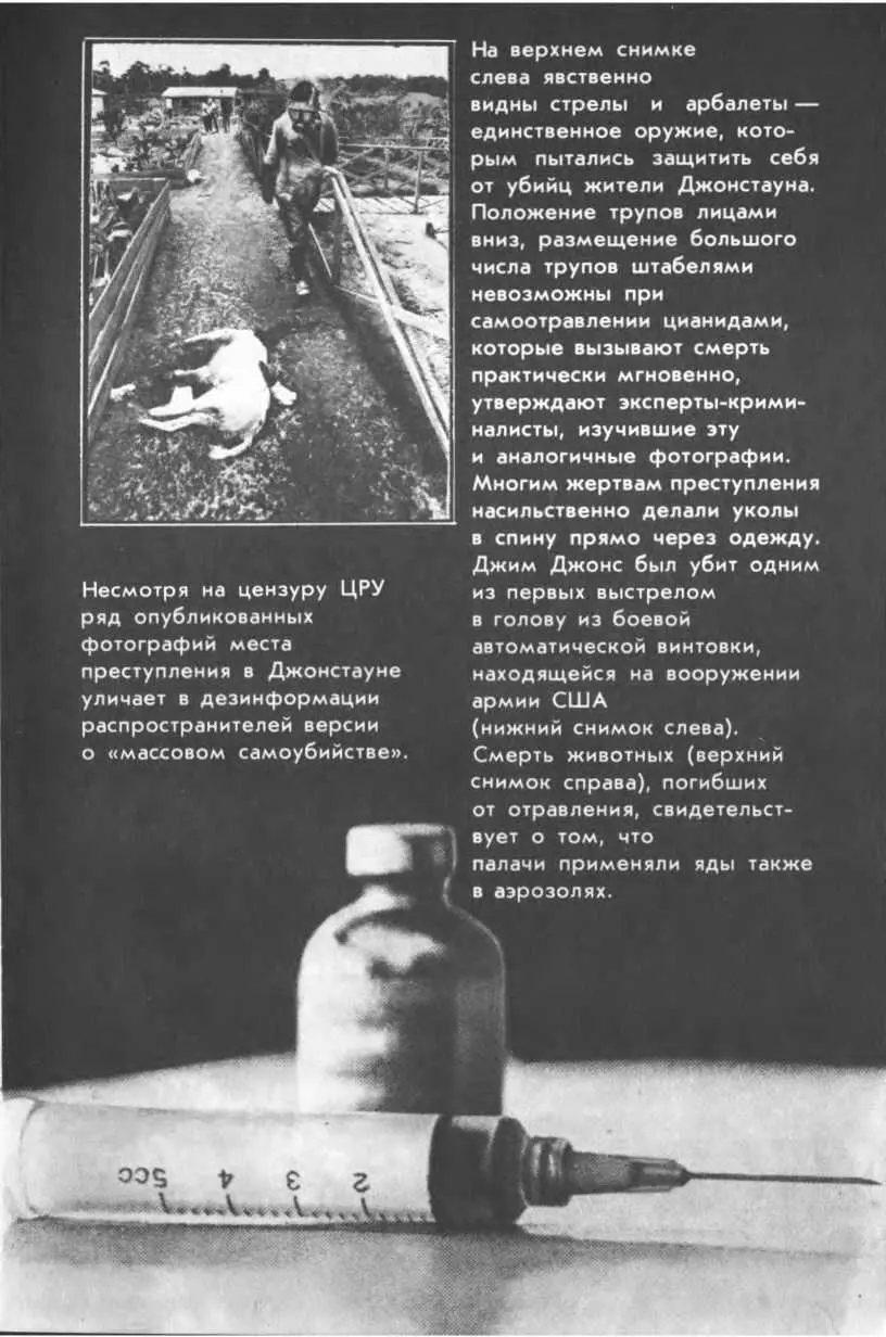 Вместо эпилога 33 На снимке ящики с трупами убитых в Джонстауне - фото 105