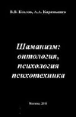 Владимир Козлов Шаманизм: онтология, психология, психотехника обложка книги