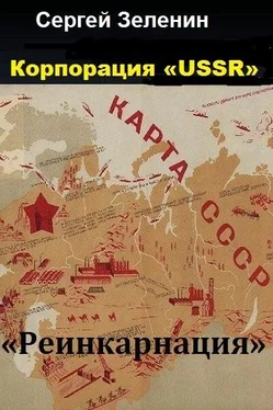 Сергей Зеленин Реинкарнация обложка книги