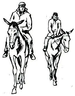 Внимание Текст предназначен только для предварительного ознакомительного - фото 15