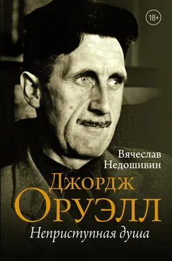 Вячеслав Недошивин Джордж Оруэлл. Неприступная душа [litres] обложка книги