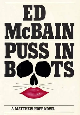 Ed McBain Puss in Boots обложка книги