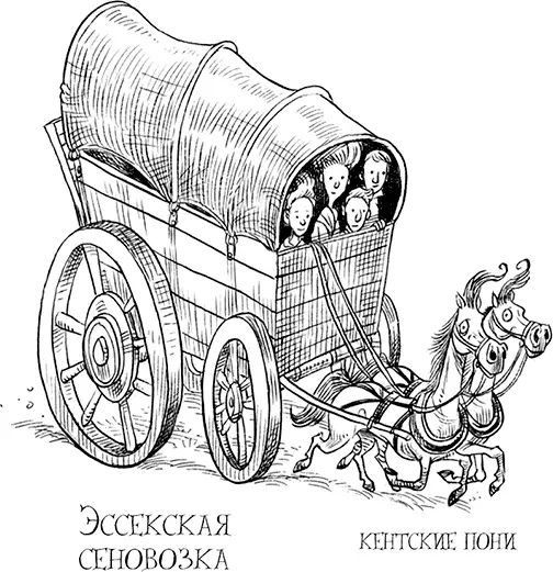 Дождь всё шёл и караваны телеги фургоны въехав на территорию лагеря - фото 118