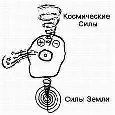 Рис 23 Первые же полноценные клетки зародыша обладают способностью - фото 3
