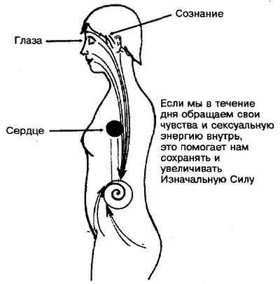 Рис 29 Многие из наших земных недостатков связаны с сексуальными желаниями - фото 9