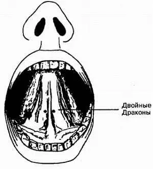 Рис 554 Точки под языкам Слюна и Эликсир Неюгар Когда электромагнитная - фото 54