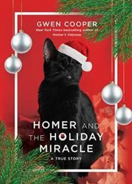 Гвен Купер Homer And The Holiday Miracle обложка книги