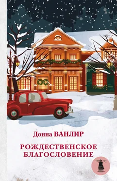 Донна Ванлир Рождественское благословение (сборник) обложка книги