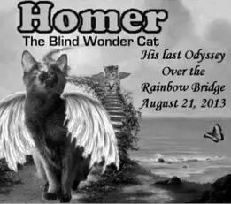 I shared these pictures and stories with Homers community as they came in - фото 22