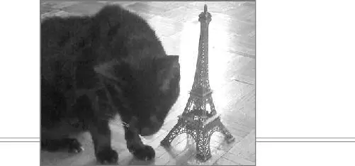 The Worlds Cat The Muse brought to the minstrels mind a song of heroes - фото 8