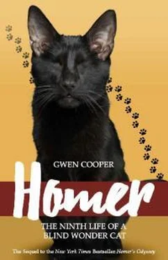 Гвен Купер Homer: The Ninth Life Of A Blind Wonder Cat обложка книги