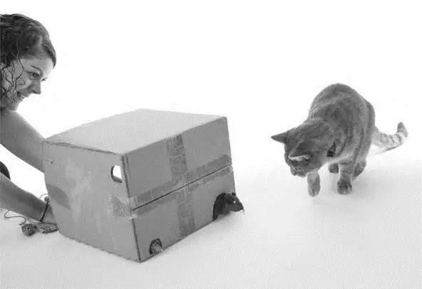Космос и Сара играют в Чертика из коробки Удачный выход из этой ситуации - фото 64
