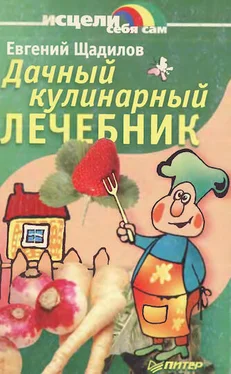 Евгений Щадилов Дачный кулинарный лечебник обложка книги