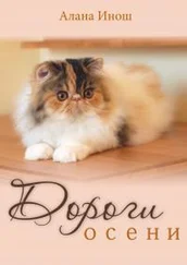 Алана Инош - Дороги осени