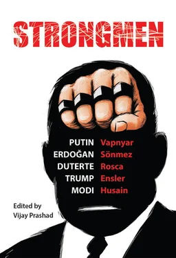 Ив Энцлер Strongmen: Trump / Modi / Erdoğan / Putin / Duterte обложка книги
