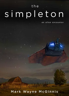 Mark McGinnis The Simpleton обложка книги