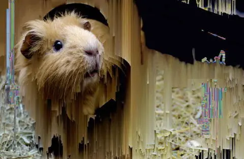 CROCODILE In Conversation Charlie Brooker writer and executive producer - фото 172