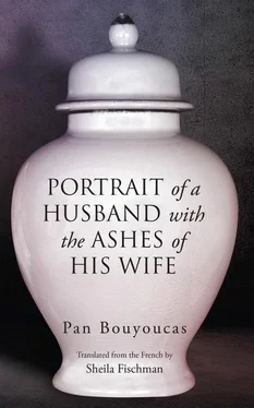 Pan Bouyoucas Portrait of a Husband with the Ashes of His Wife обложка книги