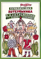 Елена Антропова - Приключения Потеряшкина в Кактусогории