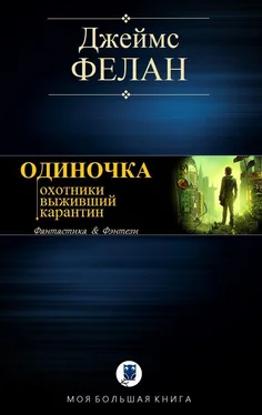 Джеймс Фелан Одиночка обложка книги