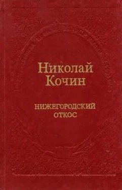 Николай Кочин Нижегородский откос обложка книги