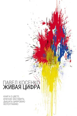Павел Косенко Живая цифра обложка книги