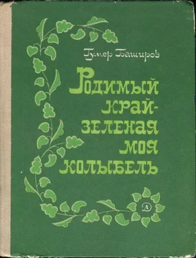 Гумер Баширов Родимый край - зеленая моя колыбель обложка книги