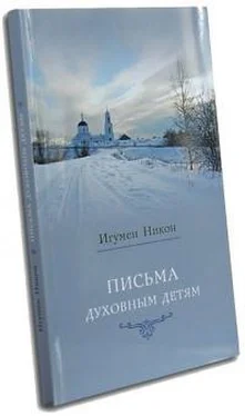 Никон Письма духовным детям обложка книги