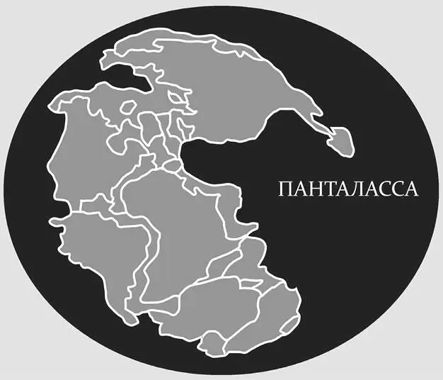 Именно эта образовавшаяся в процессе эволюции особенность строения стала - фото 2