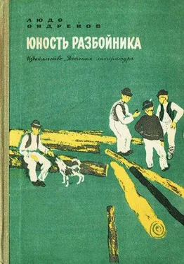 Людо Ондрейов Юность разбойника обложка книги