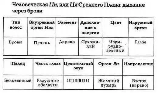 Рис 235 Элементы волос бровей Рис 236 Осознайте свои брови Рис - фото 36