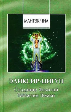 Мантэк Чиа Эликсир-Цигун. Создание Золотой Таблетки Земли обложка книги