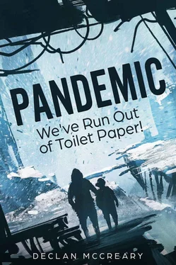 Declan McCreary Pandemic: We've Run Out of Toilet Paper! обложка книги