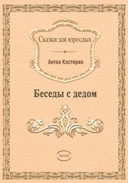 Антон Костерин Беседы с дедом обложка книги