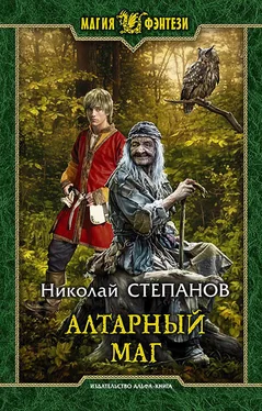 Николай Степанов Алтарный маг [litres] обложка книги