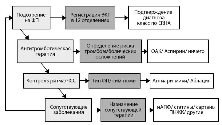 Рисунок 13 Алгоритм ведения пациентов с фибрилляцией предсердий Множество - фото 23