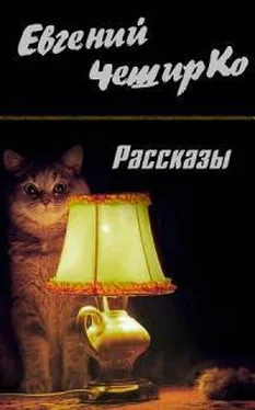 Евгений ЧеширКо Рассказы обложка книги