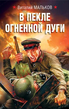 Виталий Мальков В пекле огненной дуги обложка книги