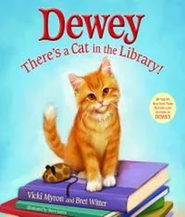 Вики Майрон - Dewey
